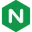 Nginx - 高性能Web服务器 官方网站图标